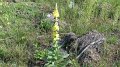 P1020672_verbeterd